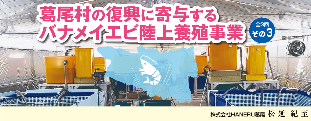 葛尾村の復興に寄与するバナメイエビ陸上養殖事業 〈全3回〉［その3］