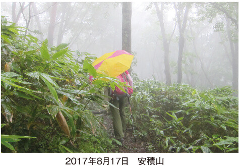 2017年8月17日　安積山　